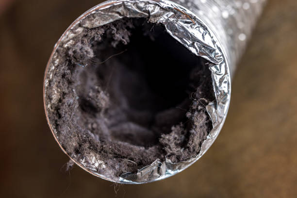 Best Residential Air Duct Cleaning  in Riceville, TN