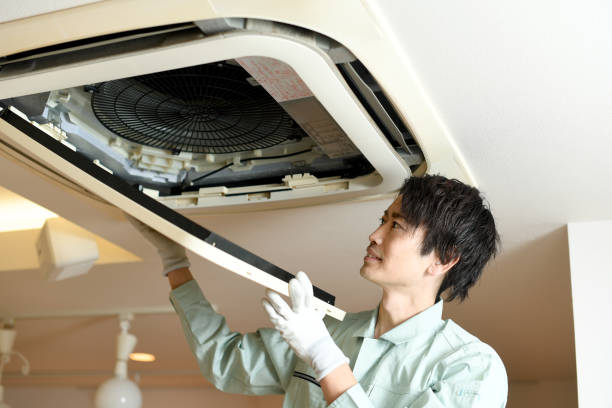Best Air Duct Cleaning Near Me  in Riceville, TN